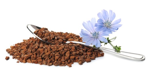 Pile of chicory granules and flowers on white background Photo of Pile of chicory granules and flowers on white background