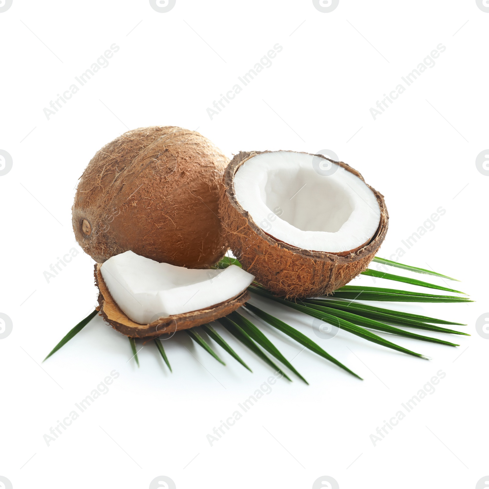 Ripe coconuts on white background Photo of Ripe coconuts on white background