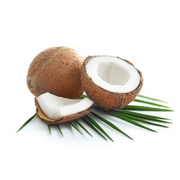 Ripe coconuts on white background Photo of Ripe coconuts on white background