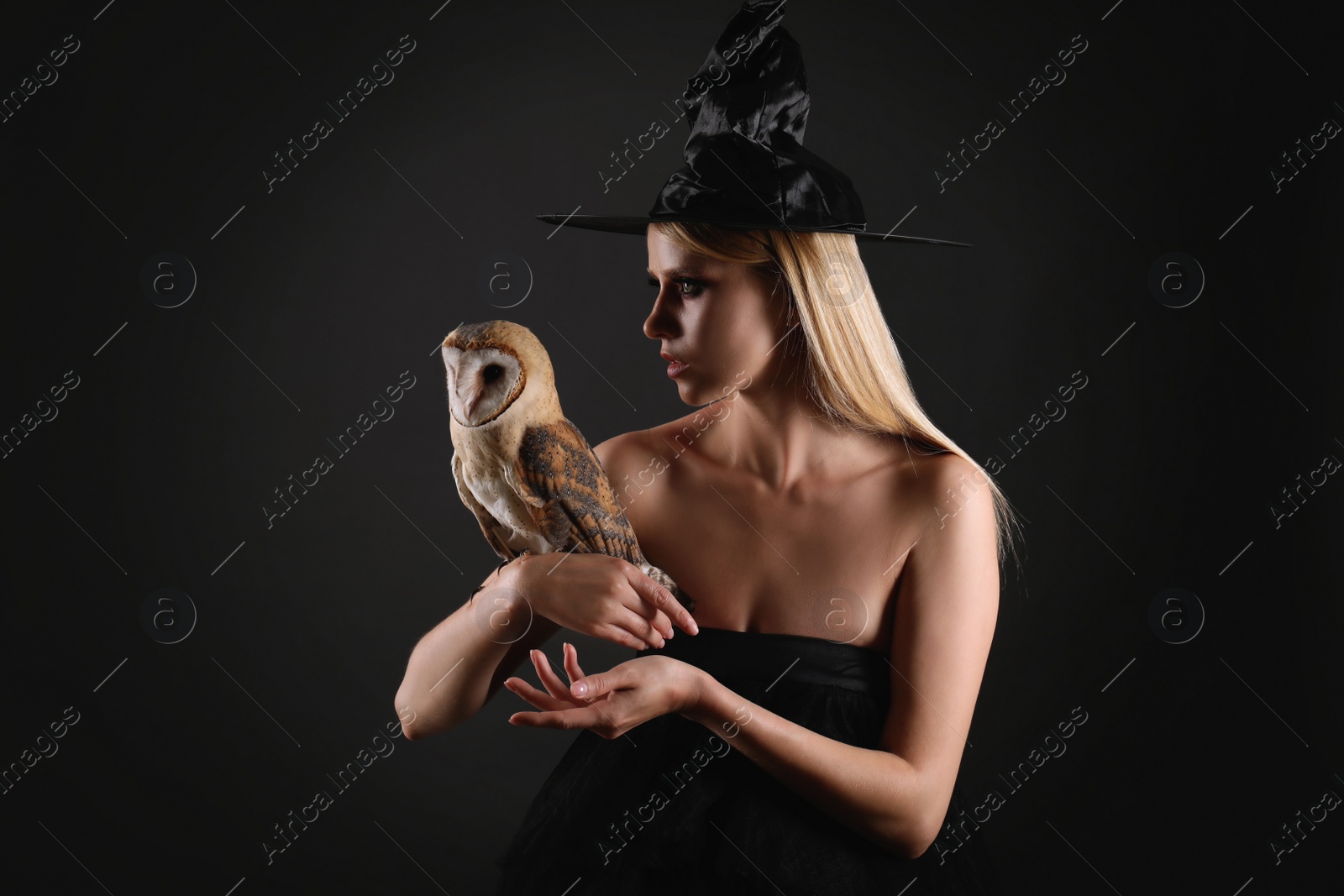 Witch in black hat with owl on dark background. Scary fantasy character Photo of Witch in black hat with owl on dark background. Scary fantasy character