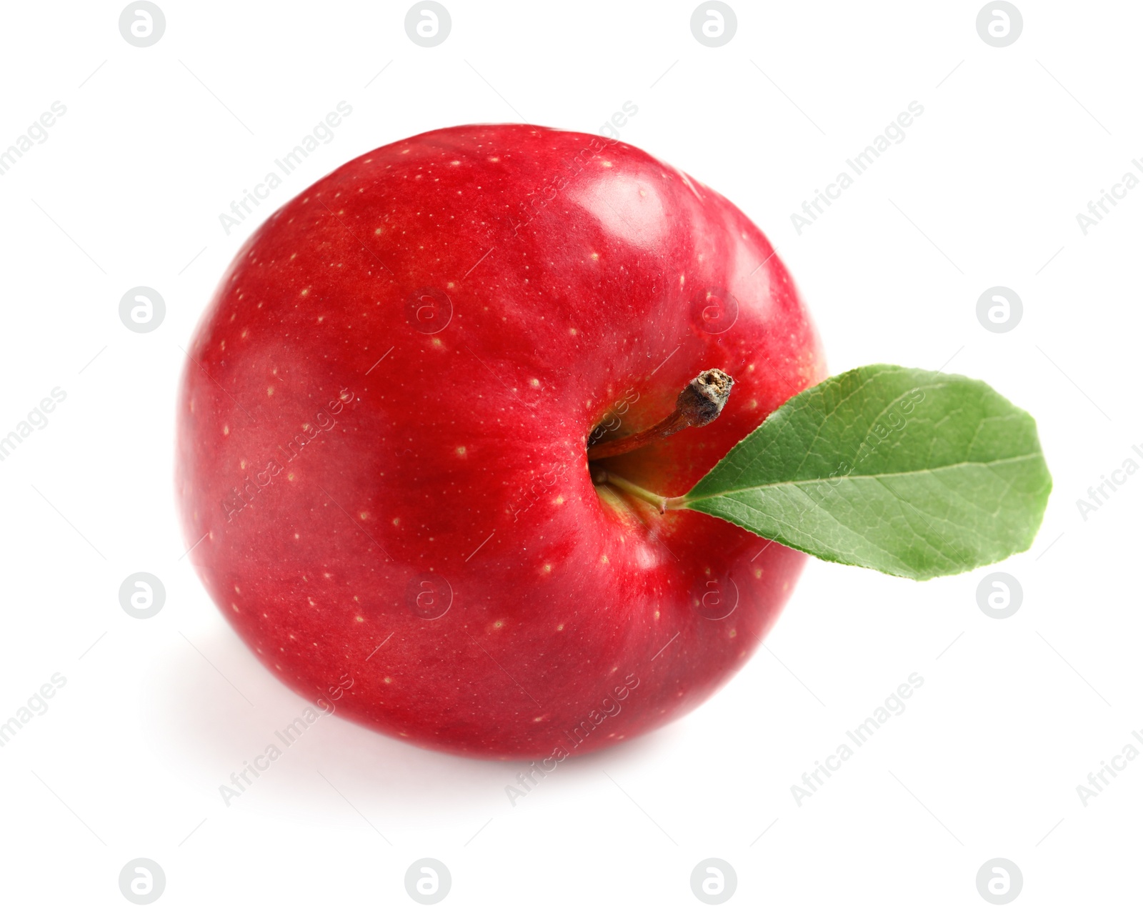 Ripe red apple on white background Photo of Ripe red apple on white background