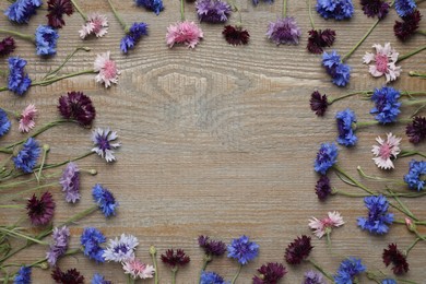 Frame of beautiful colorful cornflowers on wooden background, flat lay. Space for text Photo of Frame of beautiful colorful cornflowers on wooden background, flat lay. Space for text