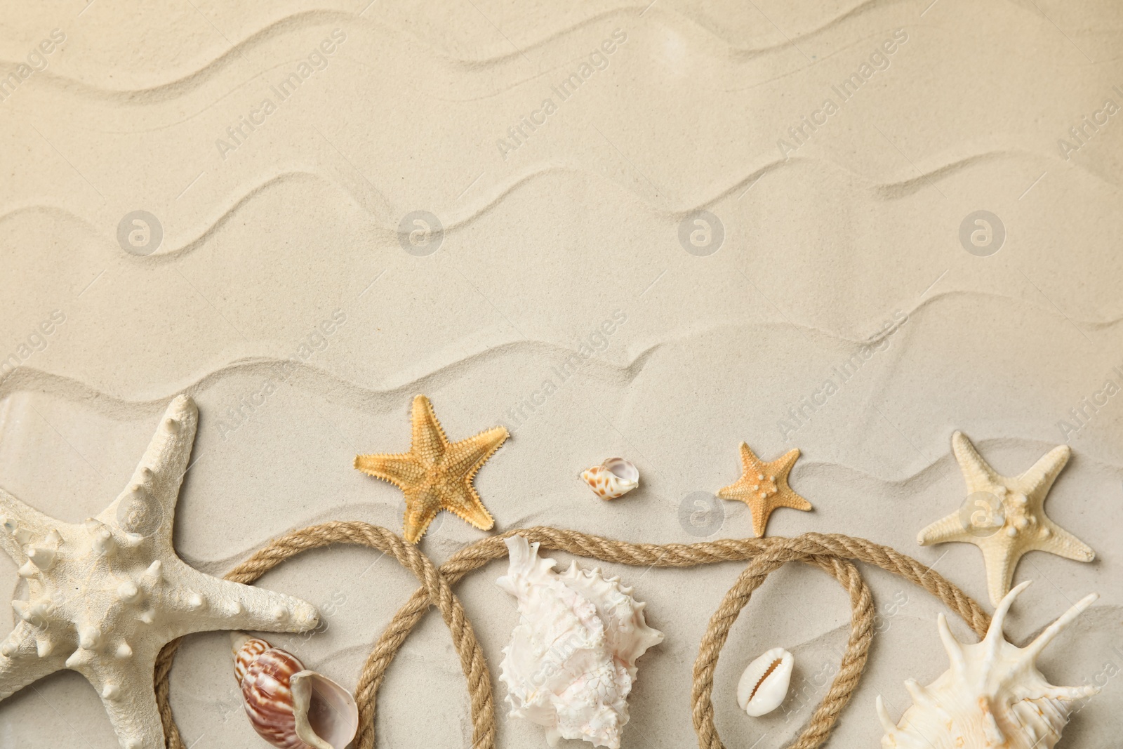 Beautiful sea stars, shells and rope on sand, flat lay. Space for text Photo of Beautiful sea stars, shells and rope on sand, flat lay. Space for text