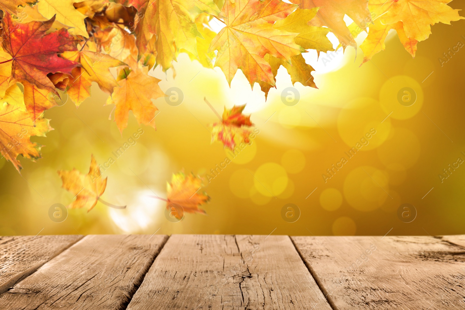 Empty wooden surface and beautiful autumn leaves on blurred background Image of Empty wooden surface and beautiful autumn leaves on blurred background