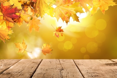 Empty wooden surface and beautiful autumn leaves on blurred background Image of Empty wooden surface and beautiful autumn leaves on blurred background