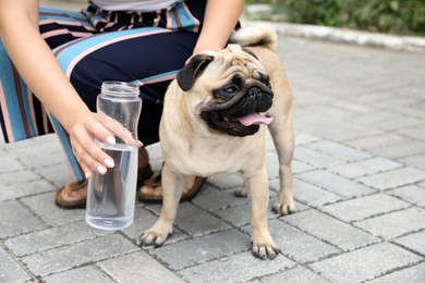 Owner helping her pug dog on street in hot day, closeup. Heat stroke prevention Photo of Owner helping her pug dog on street in hot day, closeup. Heat stroke prevention