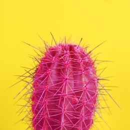 Beautiful bright cactus on yellow background, closeup Image of Beautiful bright cactus on yellow background, closeup