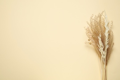 Photo of Bouquet of dried flowers on beige background, flat lay. Space for text