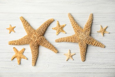 Beautiful sea stars on white wooden background, flat lay Photo of Beautiful sea stars on white wooden background, flat lay