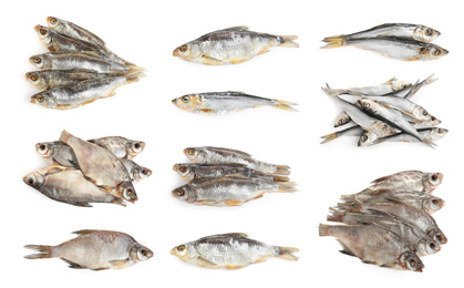Set of tasty dry fish on white background Image of Set of tasty dry fish on white background