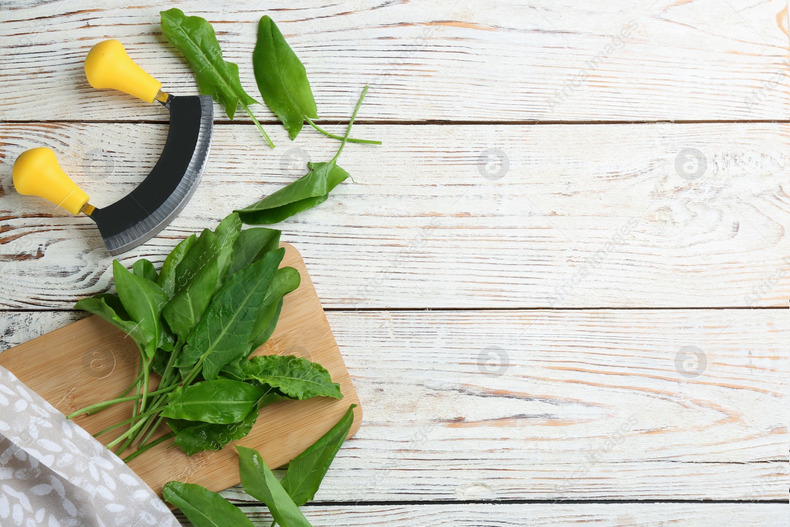 Fresh green sorrel leaves and mezzaluna knife on white wooden table, flat lay. Space for text Photo of Fresh green sorrel leaves and mezzaluna knife on white wooden table, flat lay. Space for text