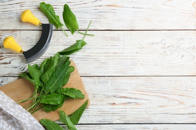 Fresh green sorrel leaves and mezzaluna knife on white wooden table, flat lay. Space for text Photo of Fresh green sorrel leaves and mezzaluna knife on white wooden table, flat lay. Space for text