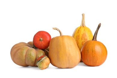 Photo of Fresh ripe pumpkins isolated on white background. Autumn season