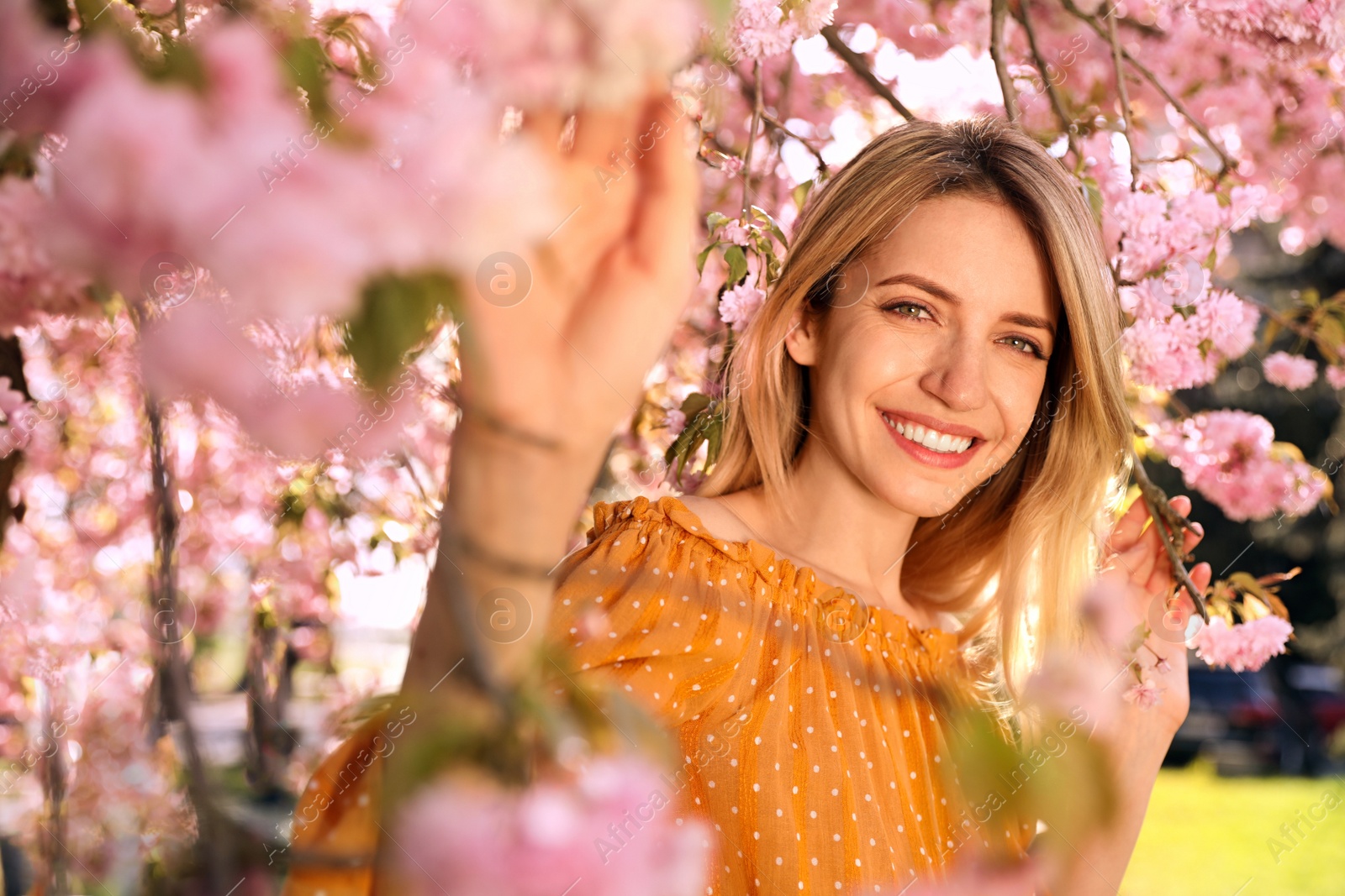 Photo of Young woman wearing stylish outfit near blossoming sakura in park. Fashionable spring look
