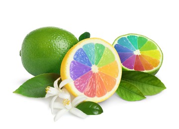 Fresh lemon and lime with rainbow segments on white background. Brighten your life Image of Fresh lemon and lime with rainbow segments on white background. Brighten your life