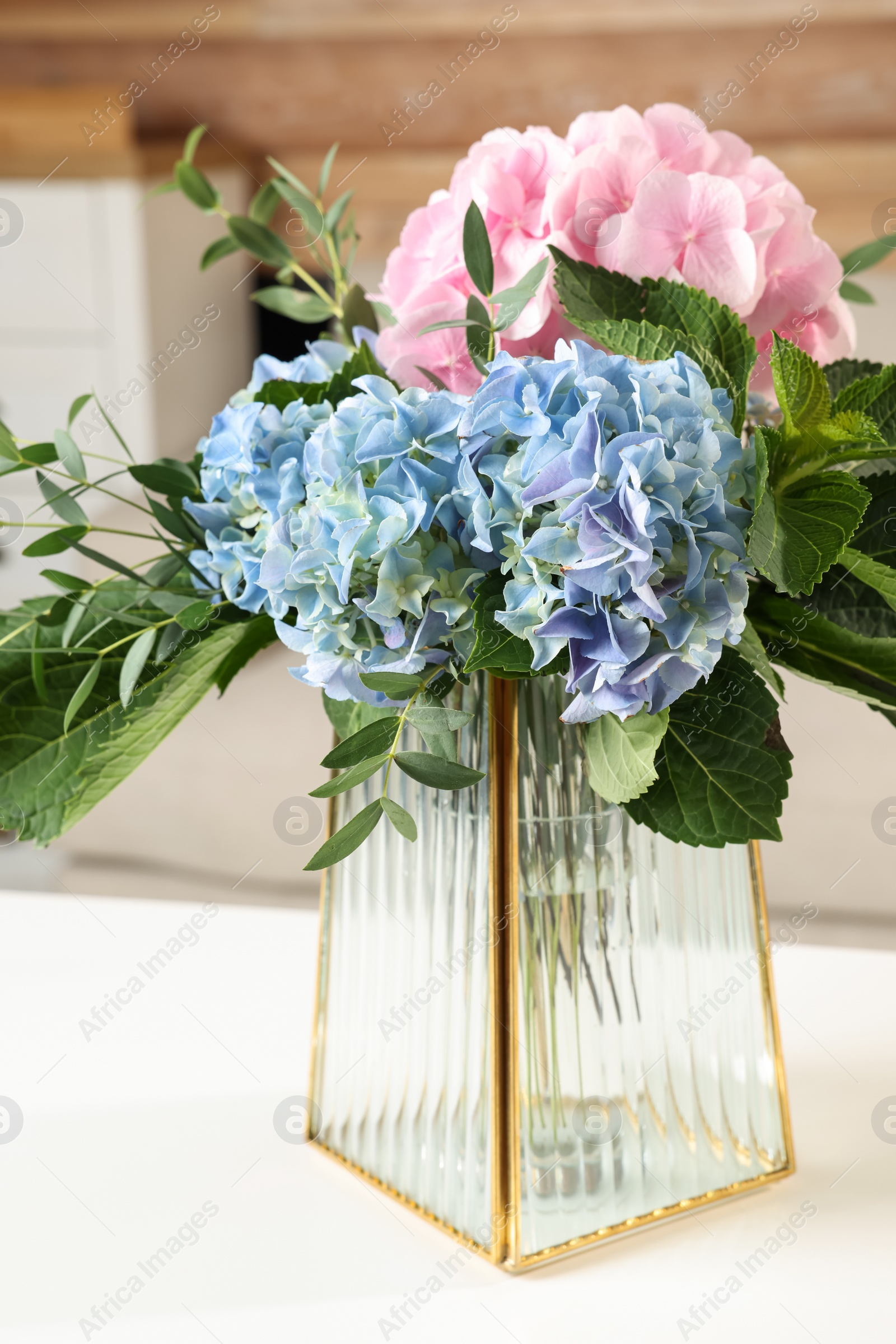 Beautiful hortensia flowers in vase on white table indoors Photo of Beautiful hortensia flowers in vase on white table indoors