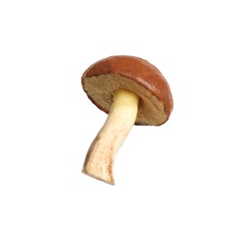 Photo of Fresh slippery jack mushroom isolated on white