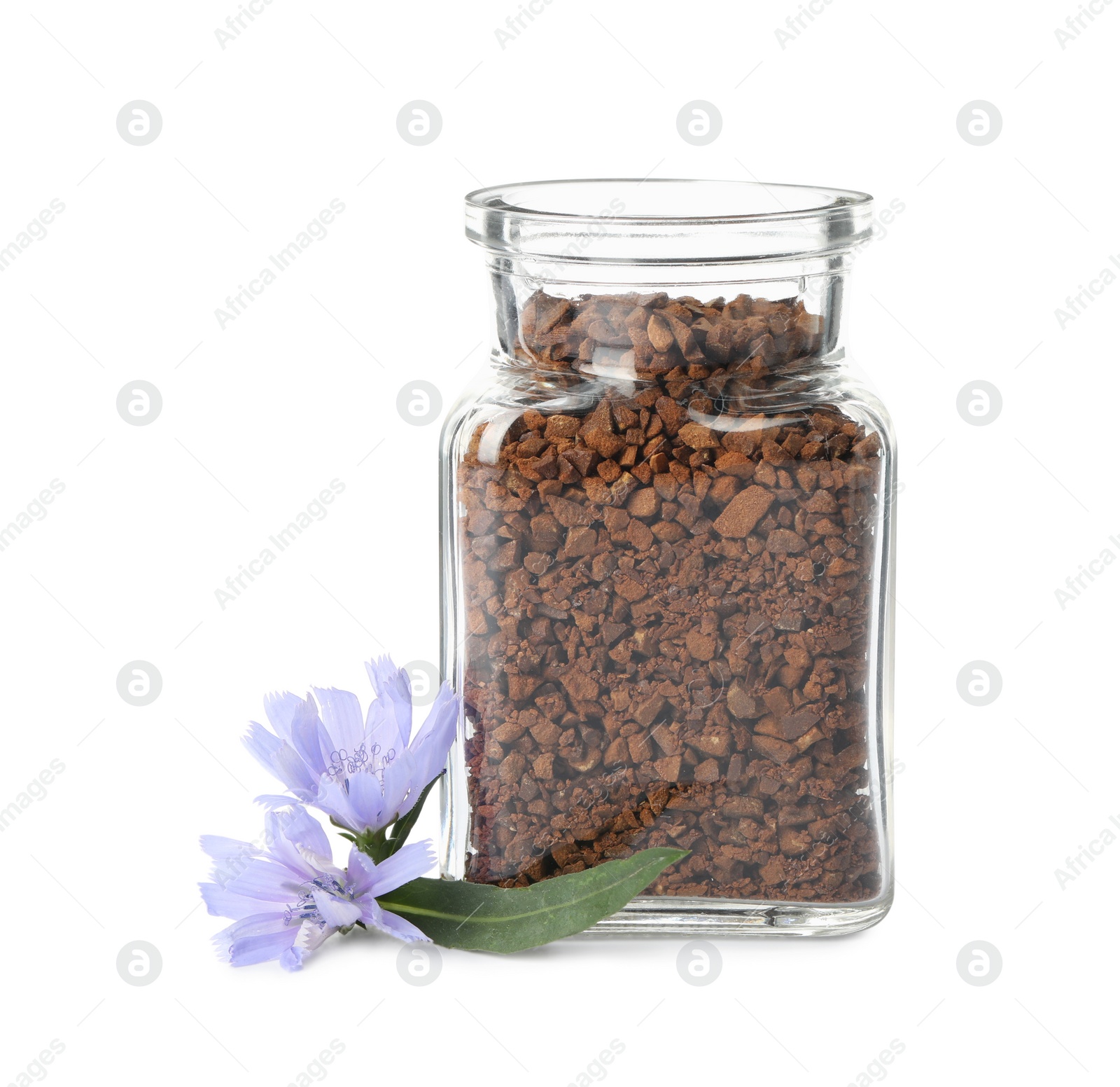 Jar of chicory granules and flowers on white background Photo of Jar of chicory granules and flowers on white background