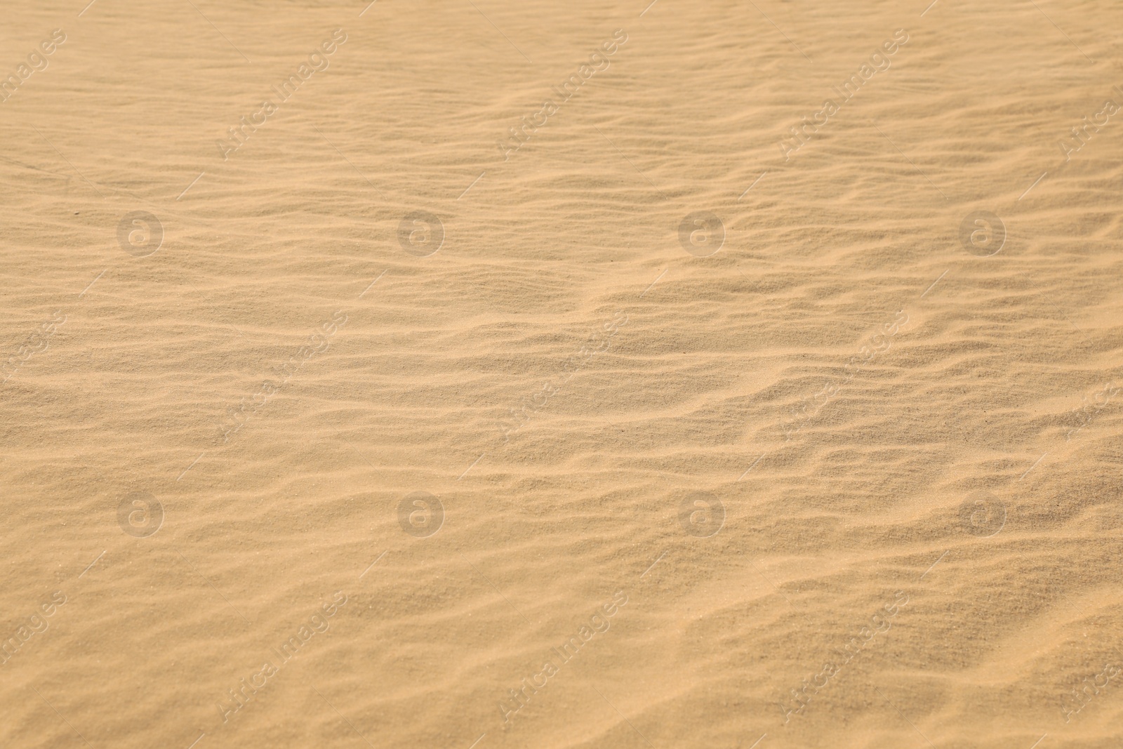 Beautiful view of rippled sandy surface in desert as background Photo of Beautiful view of rippled sandy surface in desert as background