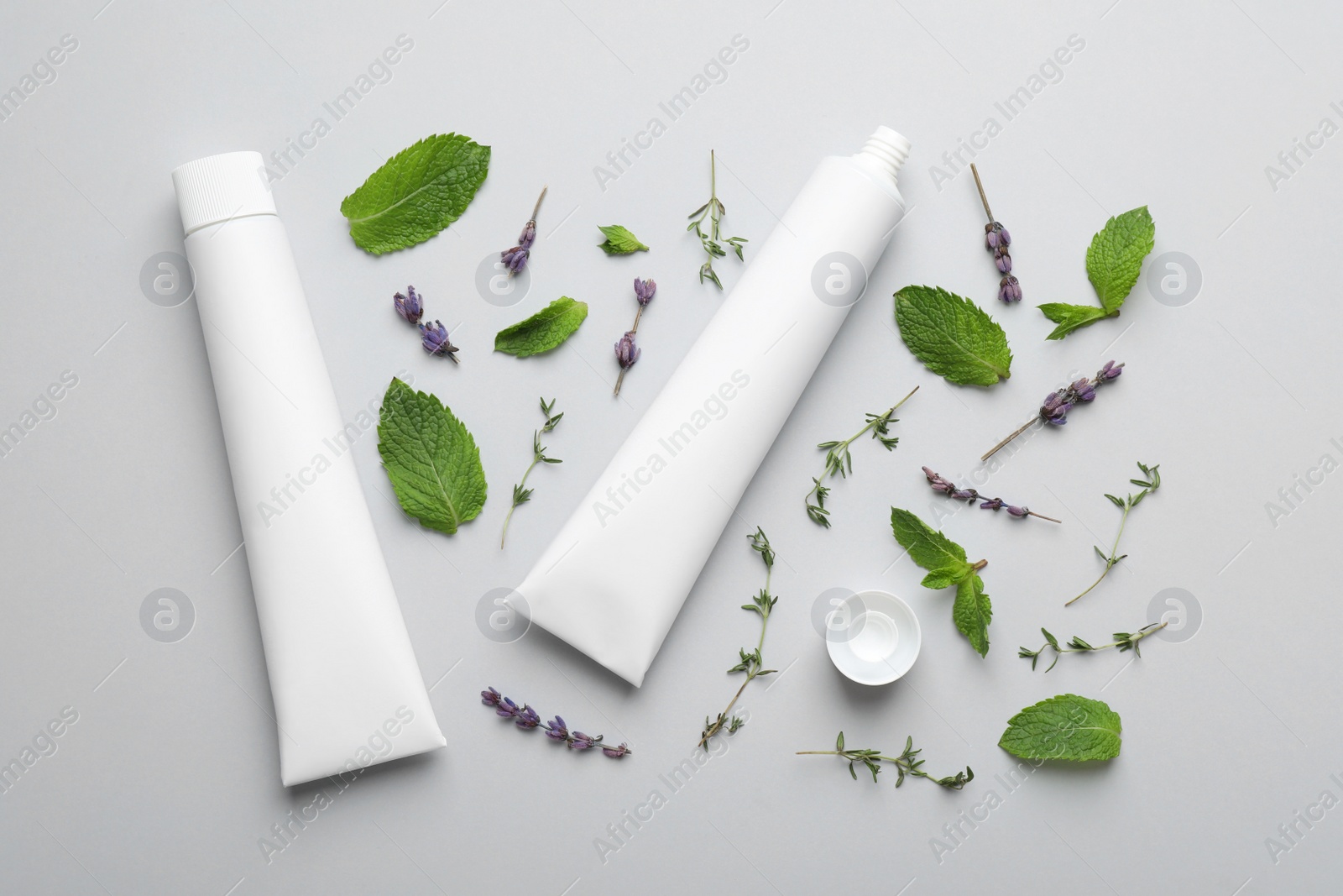 Blank tubes of toothpaste, mint, thyme and lavender flowers on white background, flat lay Photo of Blank tubes of toothpaste, mint, thyme and lavender flowers on white background, flat lay