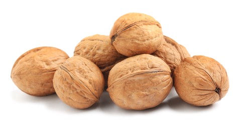 Whole walnuts in shell on white background Photo of Whole walnuts in shell on white background