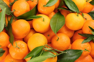 Fresh tangerines with green leaves as background, top view Photo of Fresh tangerines with green leaves as background, top view