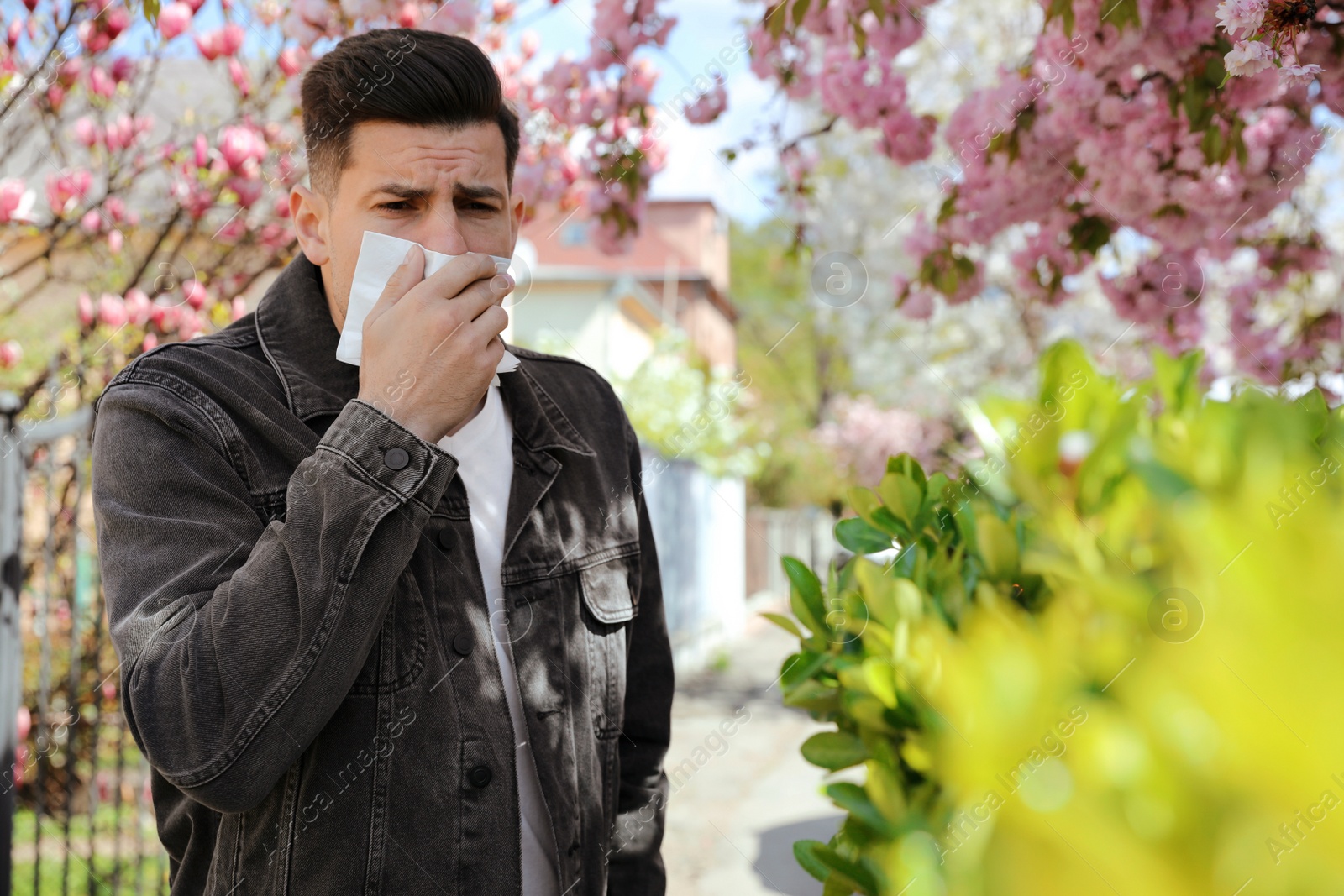 Photo of Man suffering from seasonal pollen allergy near blossoming tree outdoors