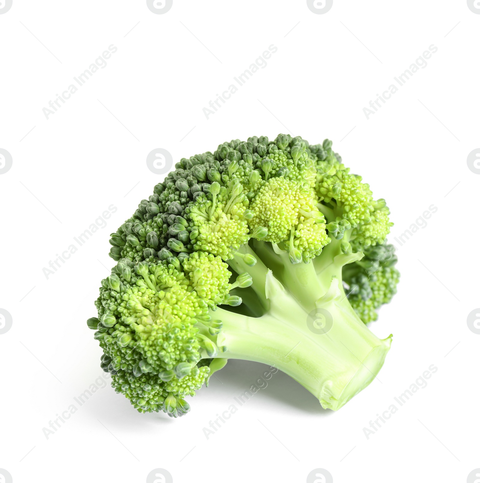Fresh green raw broccoli on white background Photo of Fresh green raw broccoli on white background