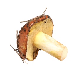 Photo of Fresh slippery jack mushroom isolated on white