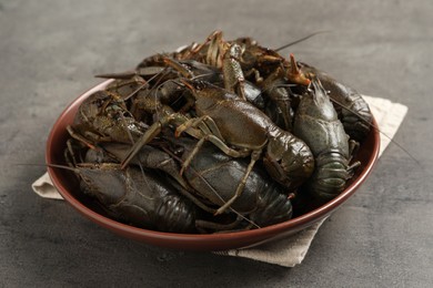 Fresh raw crayfishes in bowl on grey table, closeup Photo of Fresh raw crayfishes in bowl on grey table, closeup