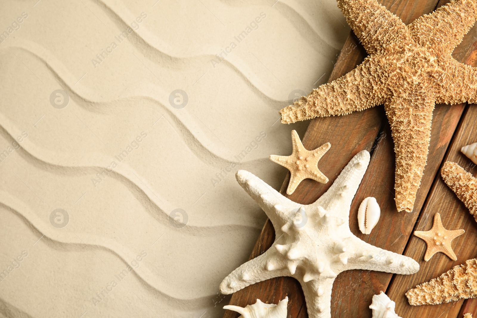 Beautiful sea stars and shells on sand, flat lay. Space for text Photo of Beautiful sea stars and shells on sand, flat lay. Space for text