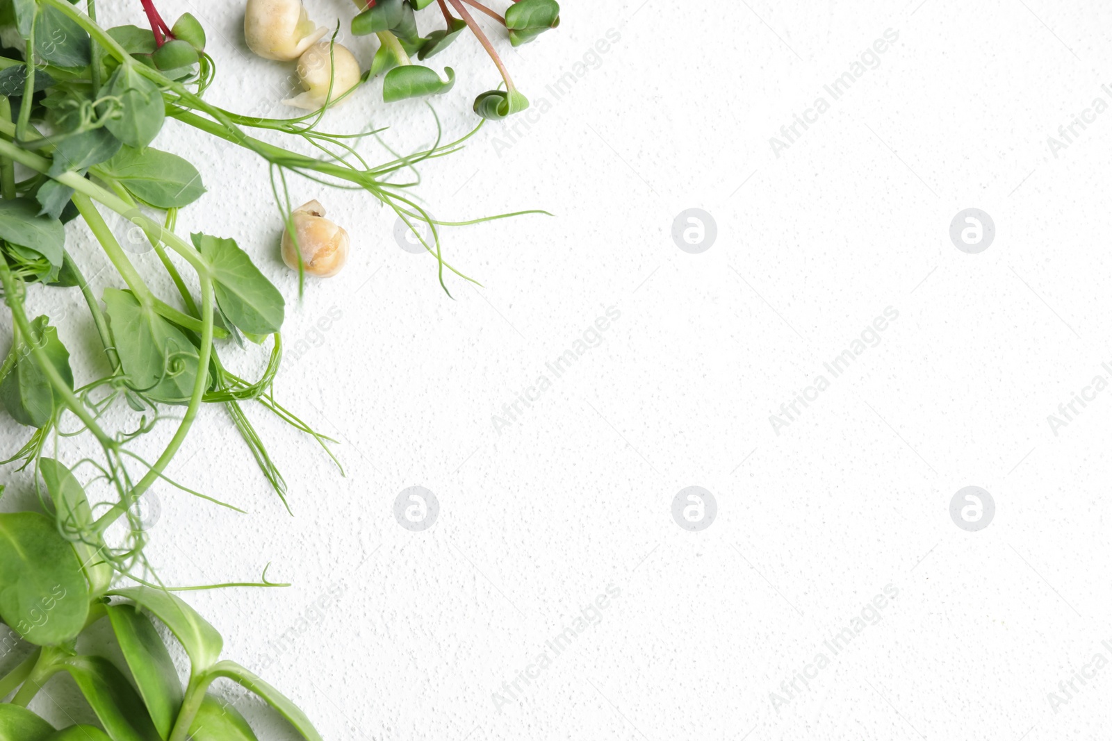 Different microgreens on white table, flat lay. Space for text Photo of Different microgreens on white table, flat lay. Space for text