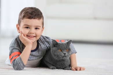 Cute little child with cat at home Photo of Cute little child with cat at home