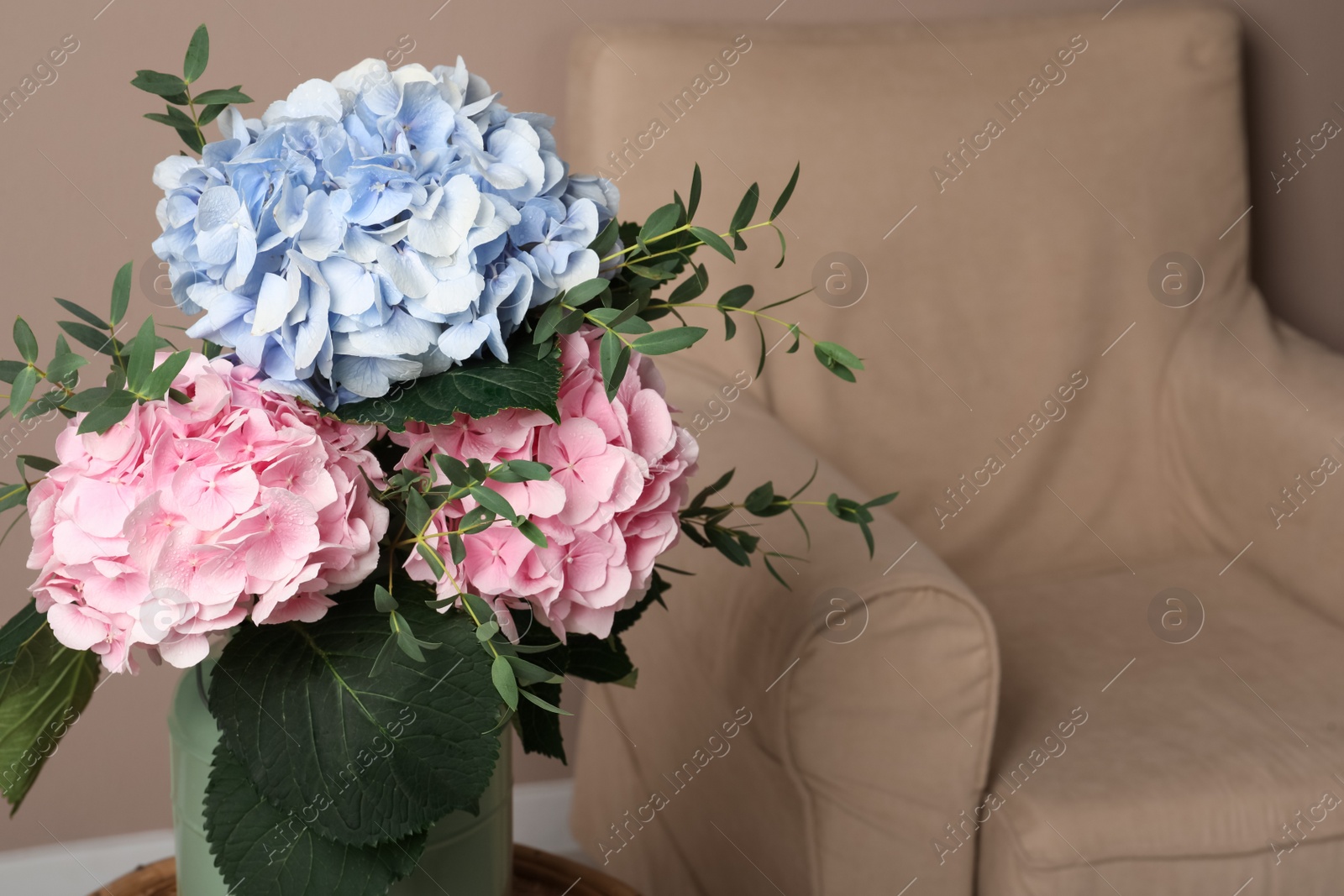 Beautiful hortensia flowers indoors. Space for text Photo of Beautiful hortensia flowers indoors. Space for text
