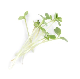 Fresh organic microgreen on white background, top view Photo of Fresh organic microgreen on white background, top view
