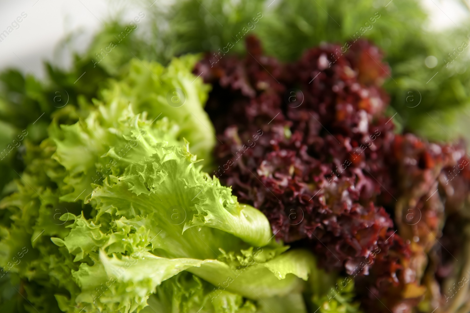 Fresh lettuce leaves as background, closeup view Photo of Fresh lettuce leaves as background, closeup view