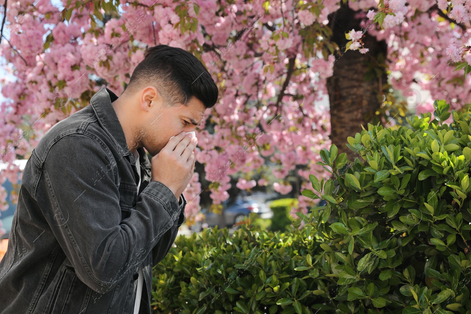 Man suffering from seasonal pollen allergy near blossoming tree outdoors Photo of Man suffering from seasonal pollen allergy near blossoming tree outdoors