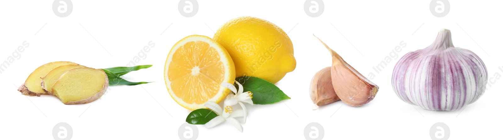 Ginger root, garlic and lemon on white background. Banner design Image of Ginger root, garlic and lemon on white background. Banner design