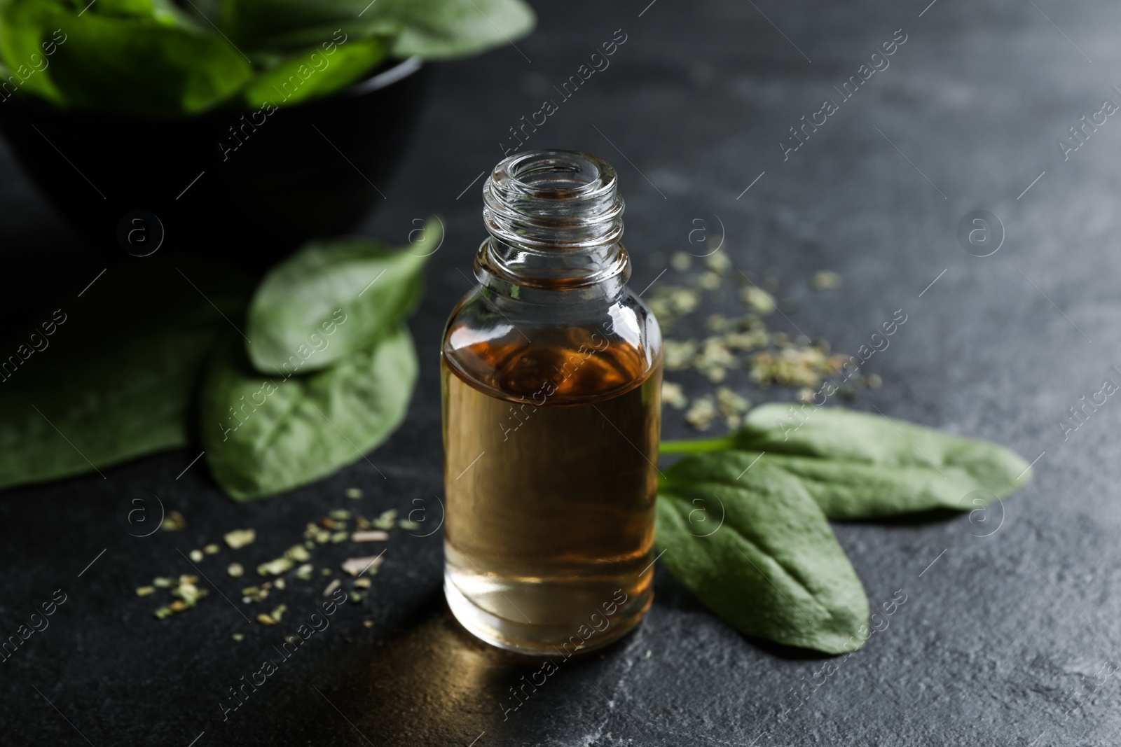 Essential oil of broadleaf plantain on black slate table, closeup Photo of Essential oil of broadleaf plantain on black slate table, closeup