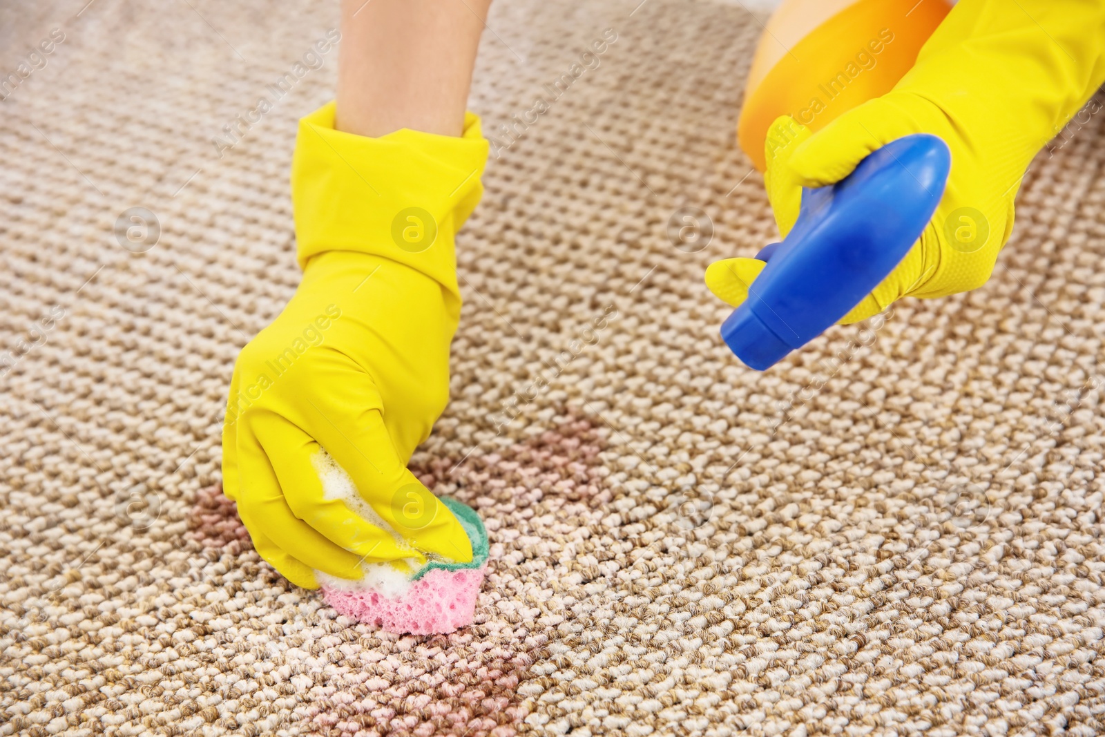 Woman cleaning carpet, closeup Photo of Woman cleaning carpet, closeup