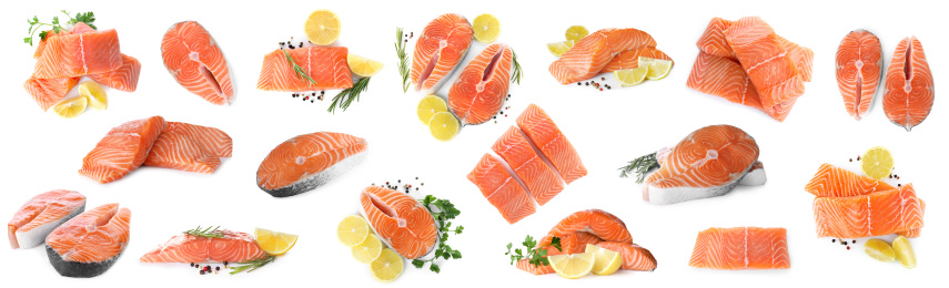 Set of fresh raw salmon on white background. Fish delicacy Image of Set of fresh raw salmon on white background. Fish delicacy