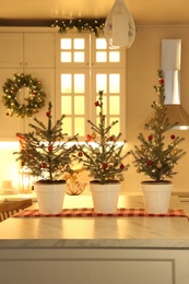Small Christmas trees and festive decor in kitchen Photo of Small Christmas trees and festive decor in kitchen