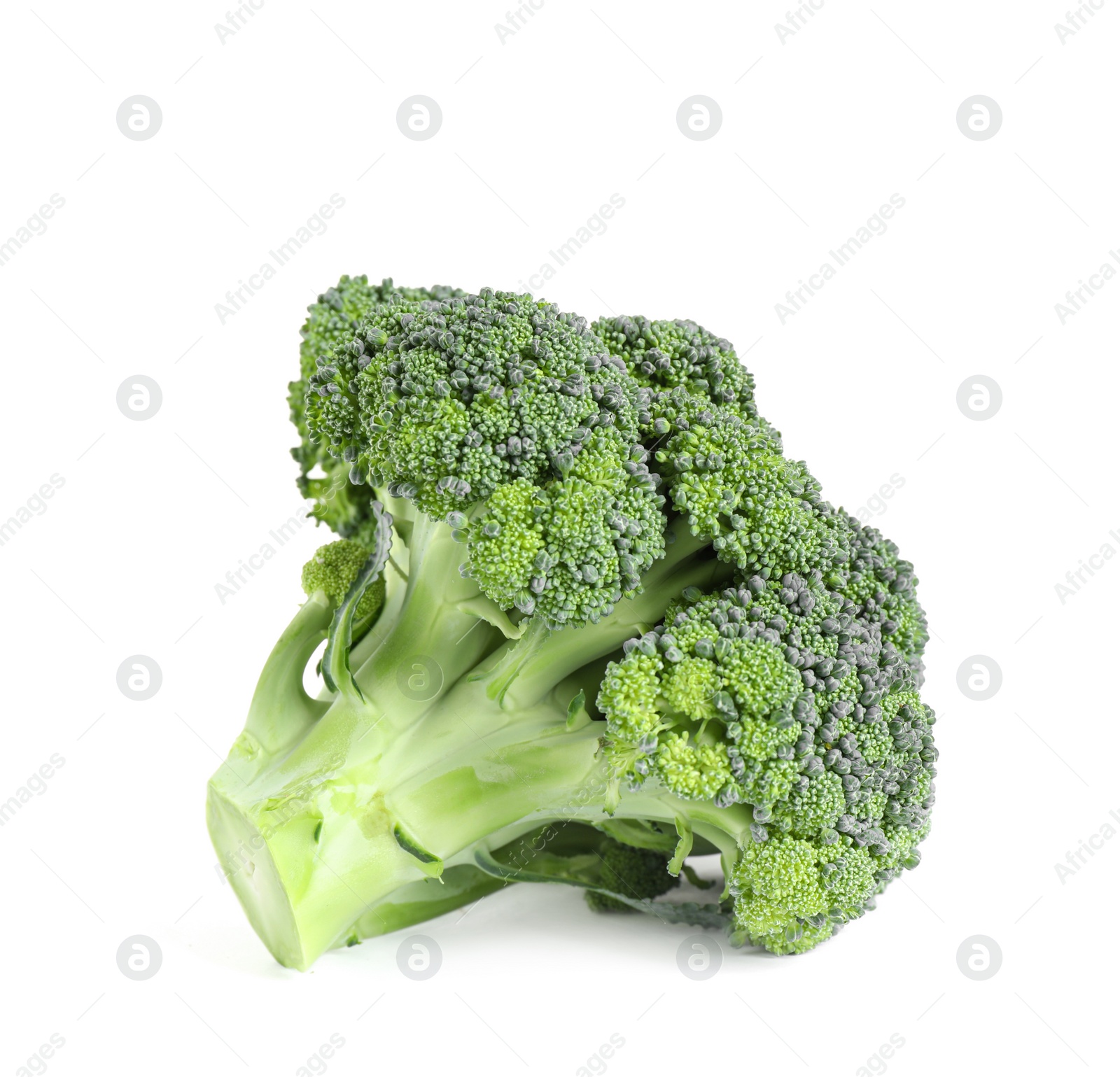 Fresh green raw broccoli on white background Photo of Fresh green raw broccoli on white background