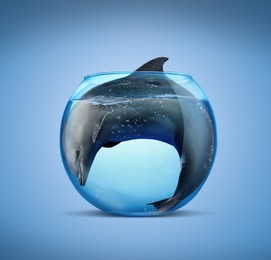 Dolphin in glass aquarium on light blue background. Anti-Captivity Campaign Image of Dolphin in glass aquarium on light blue background. Anti-Captivity Campaign
