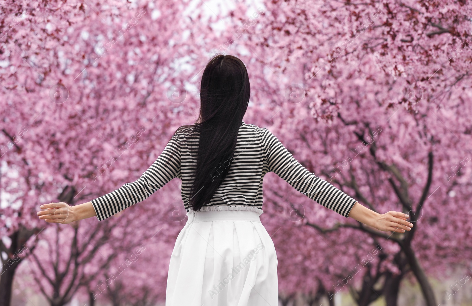 Young woman in park with blooming trees. Spring look Photo of Young woman in park with blooming trees. Spring look