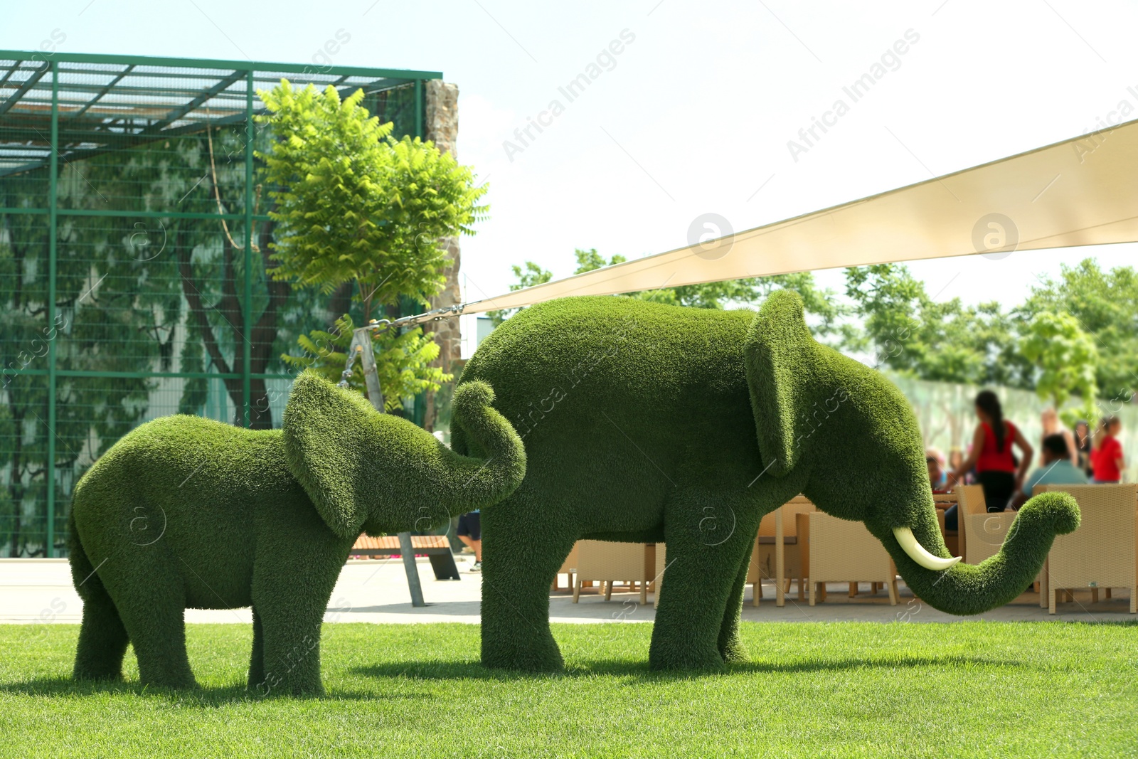 Beautiful elephant shaped topiaries at zoo on sunny day. Landscape gardening Photo of Beautiful elephant shaped topiaries at zoo on sunny day. Landscape gardening