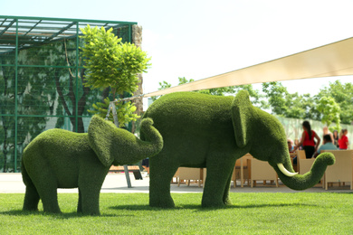 Photo of Beautiful elephant shaped topiaries at zoo on sunny day. Landscape gardening
