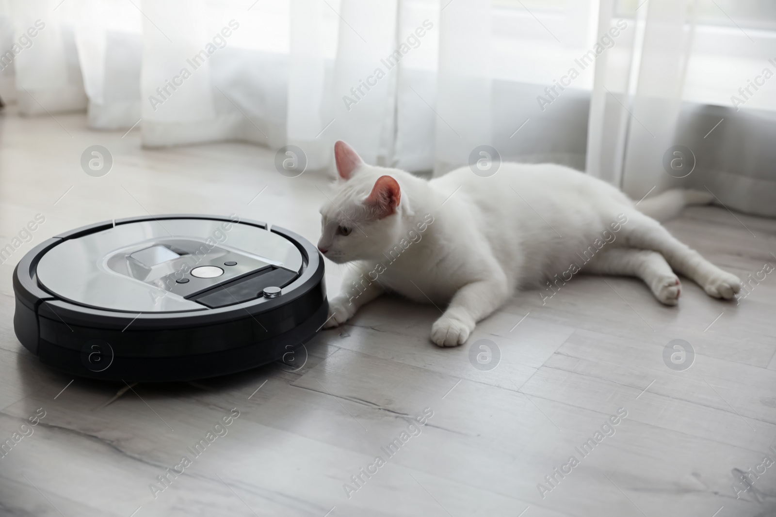 Modern robotic vacuum cleaner and cute cat on floor indoors Photo of Modern robotic vacuum cleaner and cute cat on floor indoors