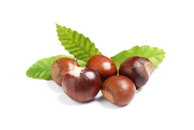 Fresh sweet edible chestnuts with green leaves on white background Photo of Fresh sweet edible chestnuts with green leaves on white background