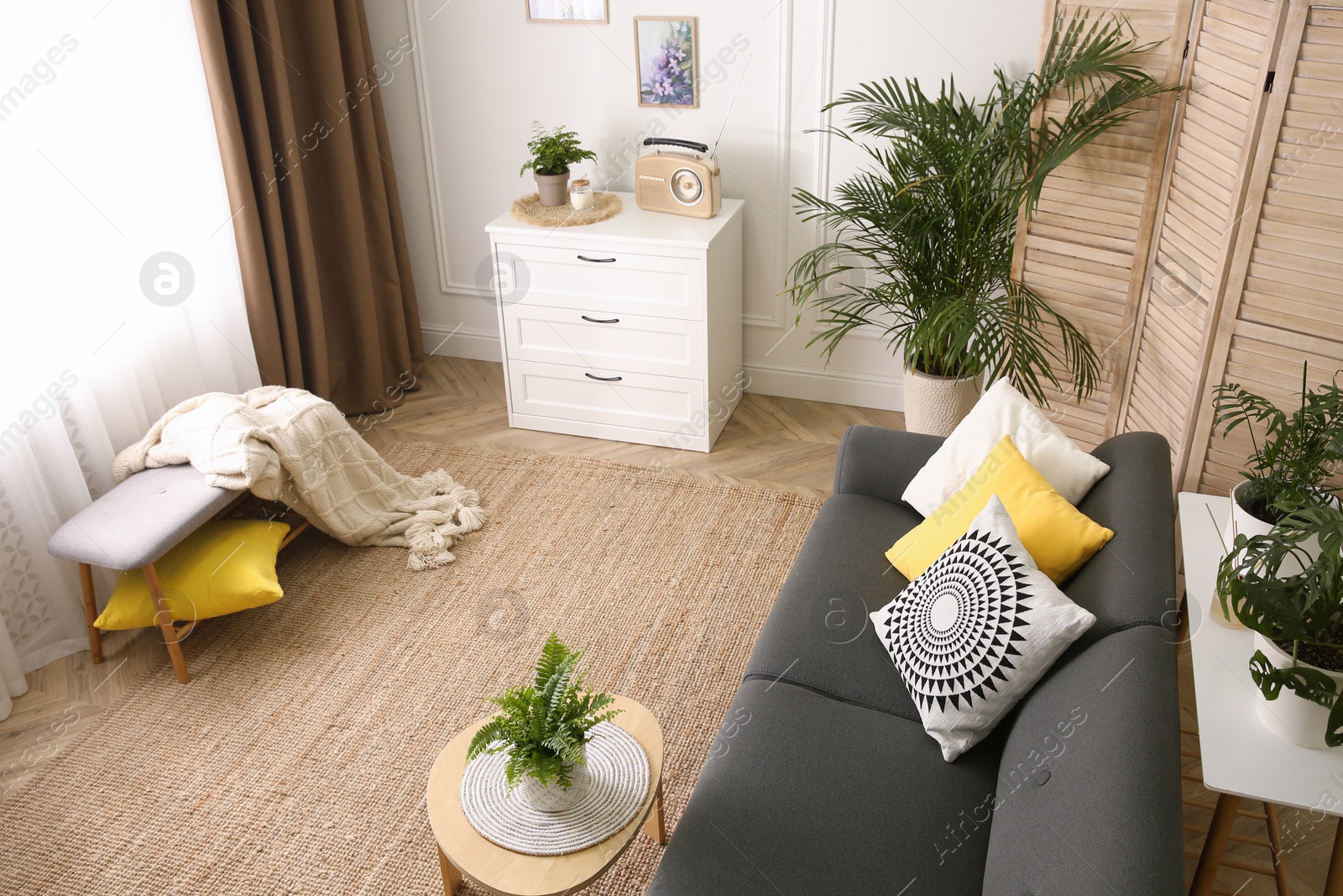 Stylish living room interior with comfortable sofa, above view Photo of Stylish living room interior with comfortable sofa, above view